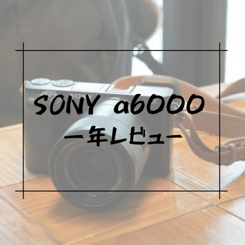 SONY α6000が最強コスパミラーレスカメラだから超おすすめ！！【一年